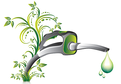 biopaliwa
