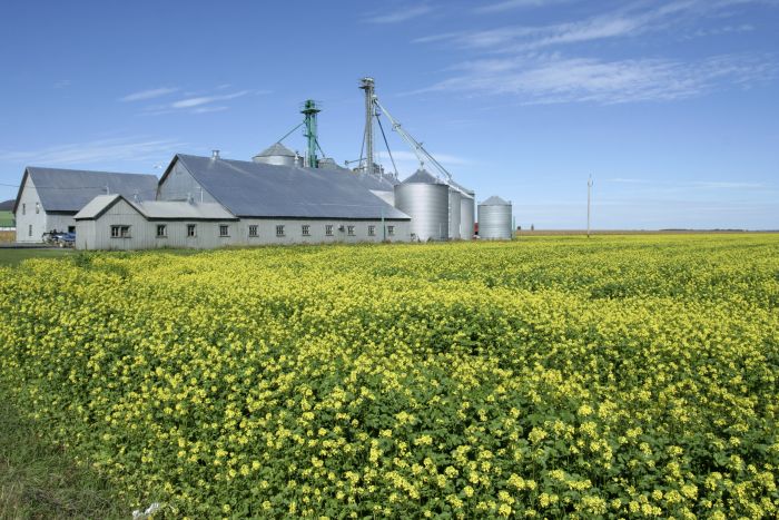 biopaliwa