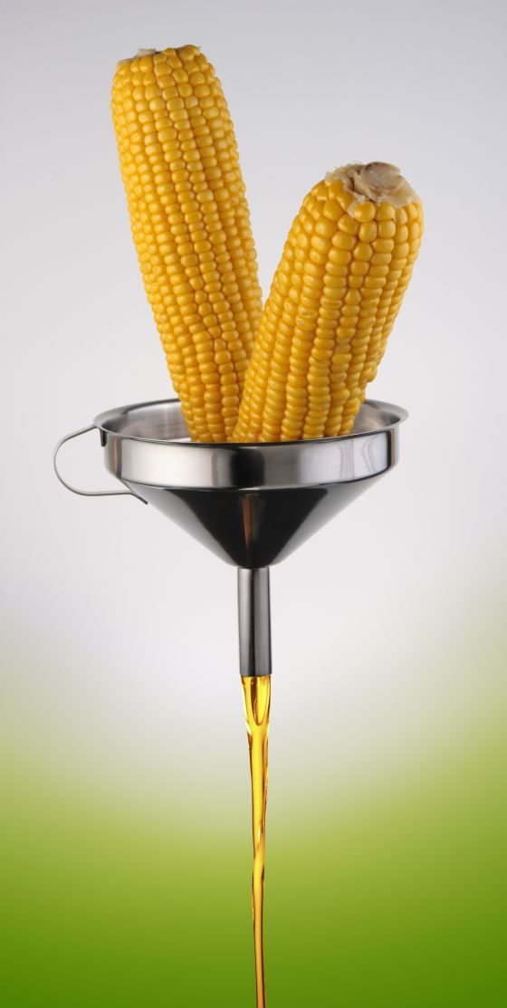 biopaliwa