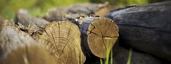 shutterstock 52252804a