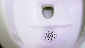 bbctoilet