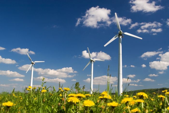energia wiatrowa