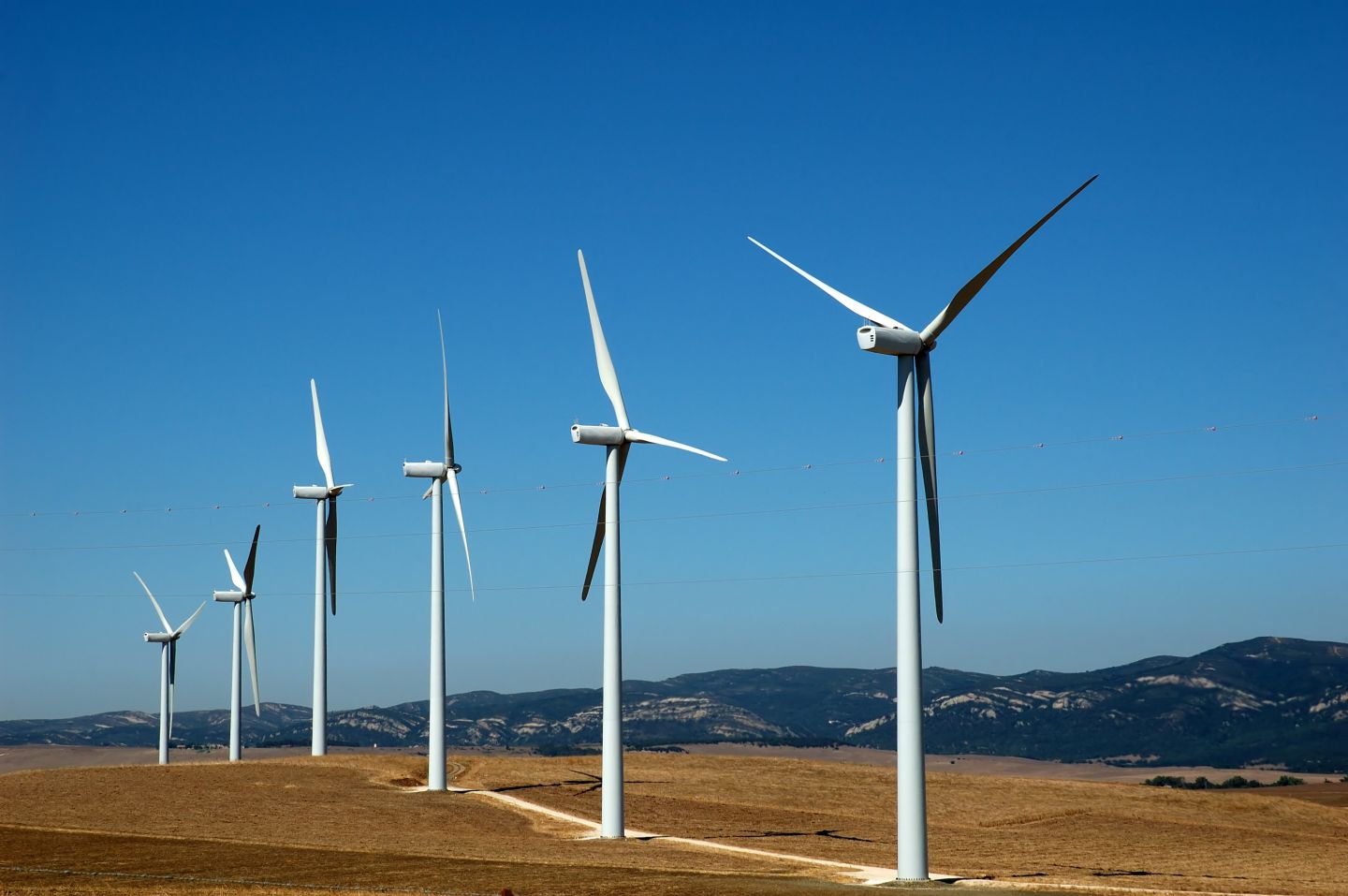 Elektrownie wiatrowe