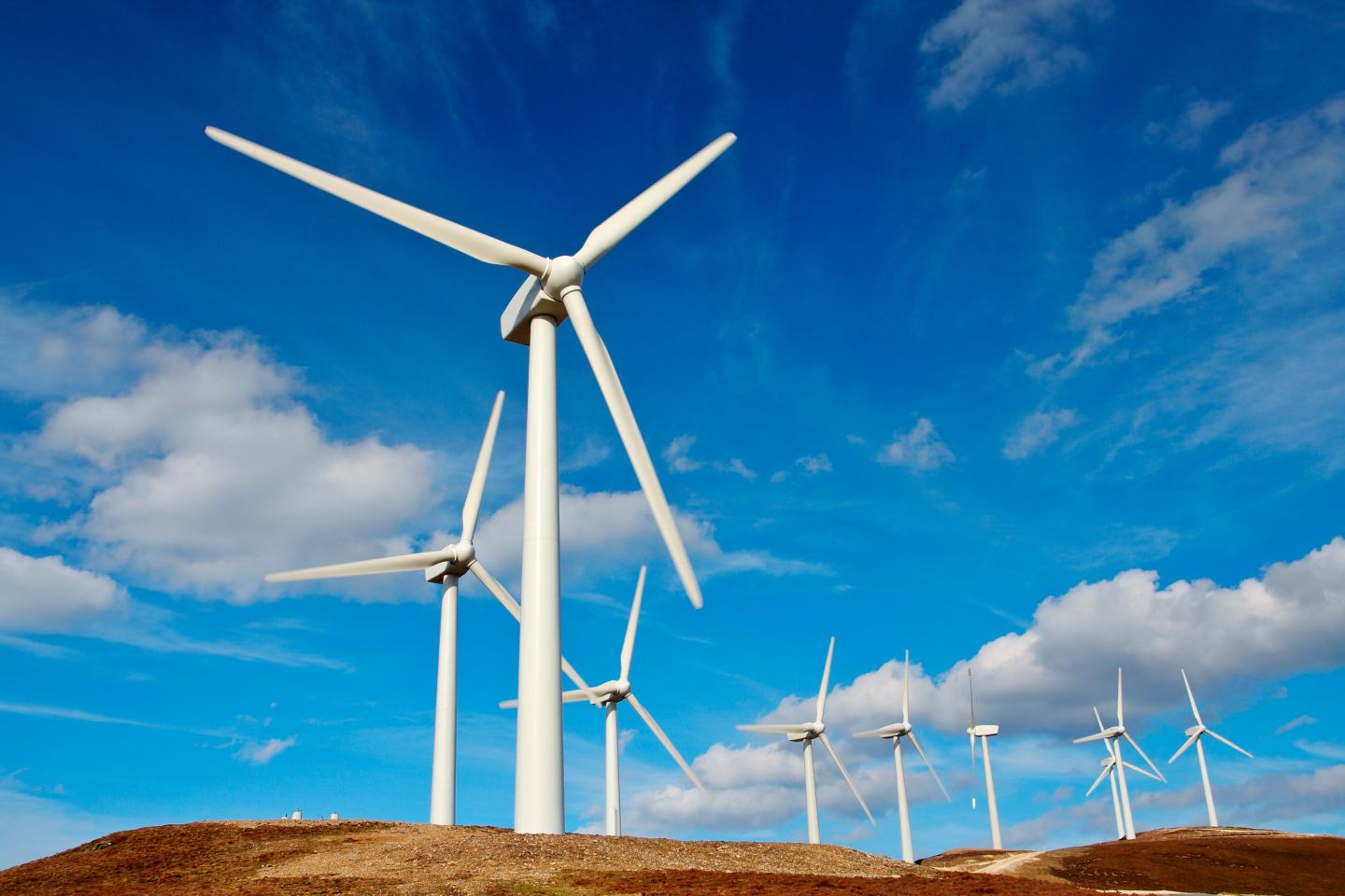 Projekt 51 MW farmy wiatrowej w Rosji