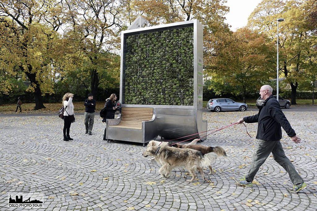 City Tree w Oslo