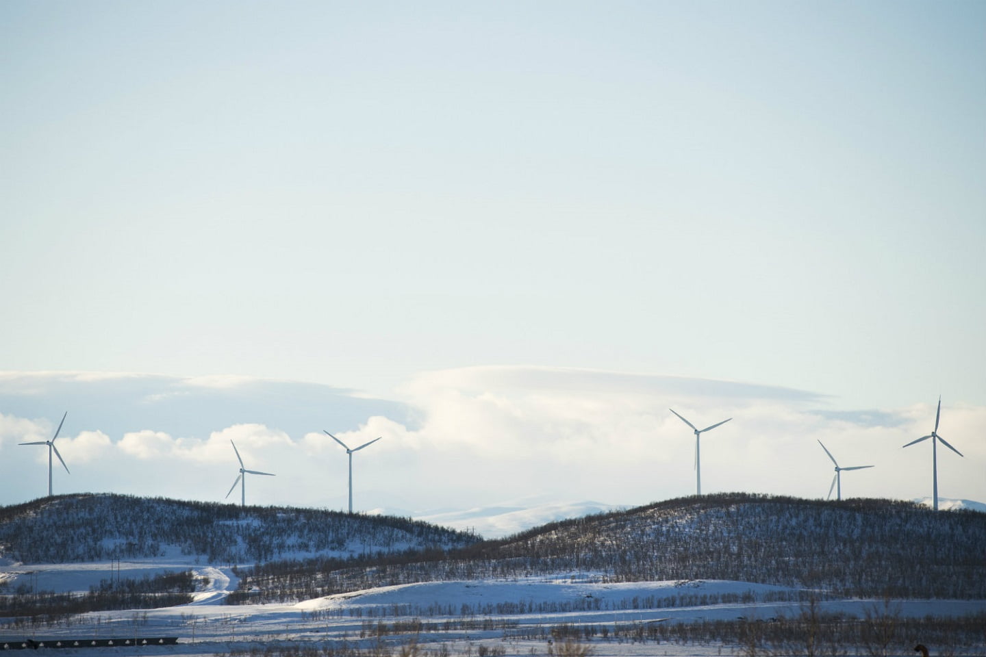energetyka wiatrowa w Szwecji