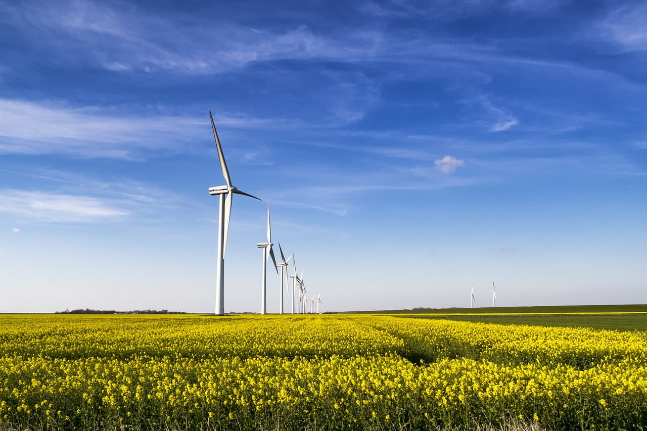 Energetyka wiatrowa fot. WolfBlur/Pixabay