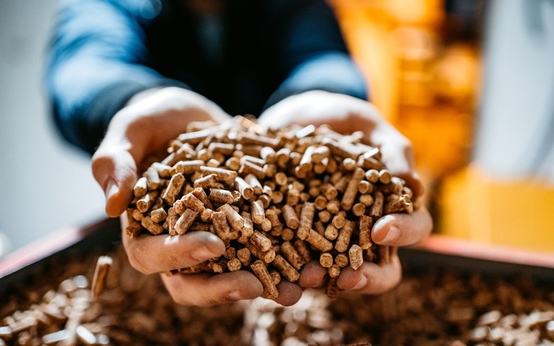 Kotły na pellet wracają na listę ZUM, ale zamiast ulgi pozostaje niesmak. Decyzje instytucji odpowiedzialnych za program Czyste Powietrze budzą poważne wątpliwości co do jakości procedur i stabilności całego systemu. O tym, jak montaż rusztu awaryjnego zatrząsnął Czystym Powietrzem dowiesz się z tego materiału.